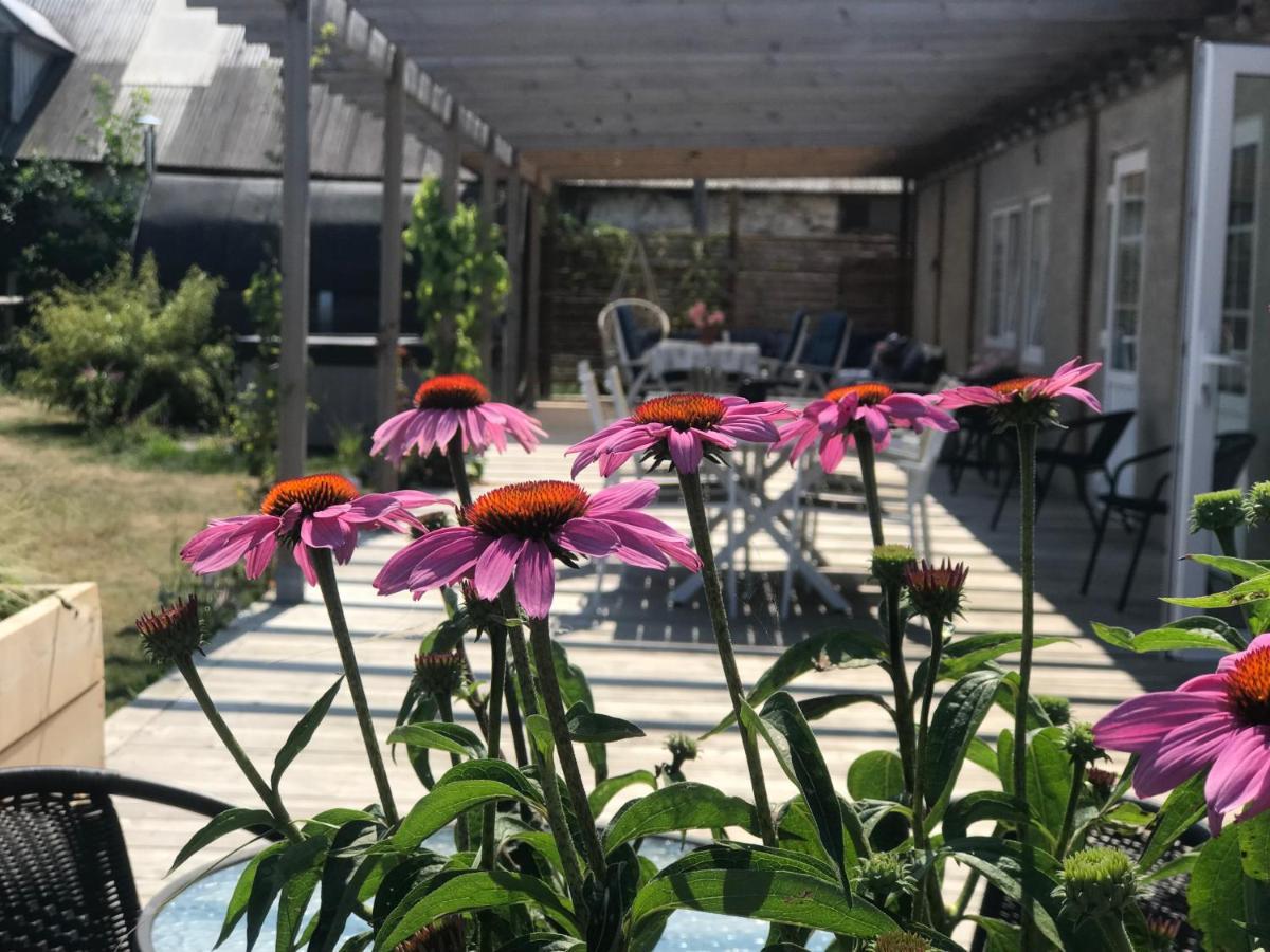 Oelands Yoga Studio & Islandshaestar, Stugor & Rum Mörbylånga Εξωτερικό φωτογραφία